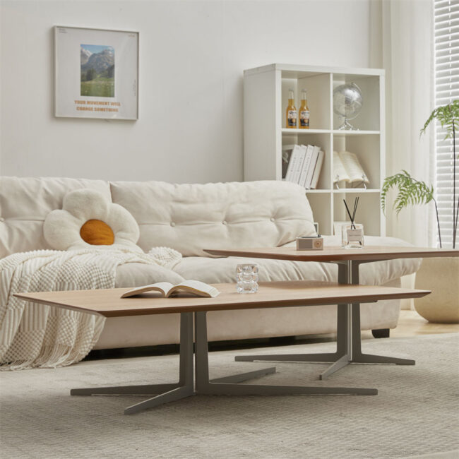 Dual-Top Coffee Table - Image 2